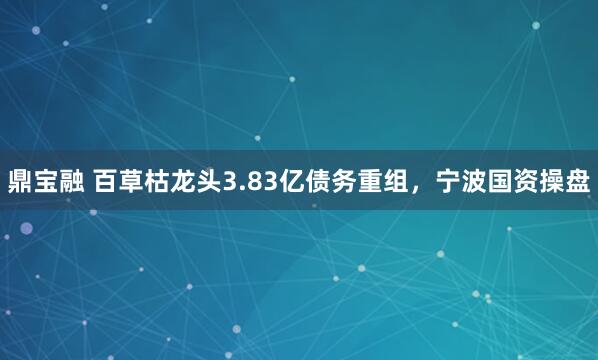 鼎宝融 百草枯龙头3.83亿债务重组，宁波国资操盘